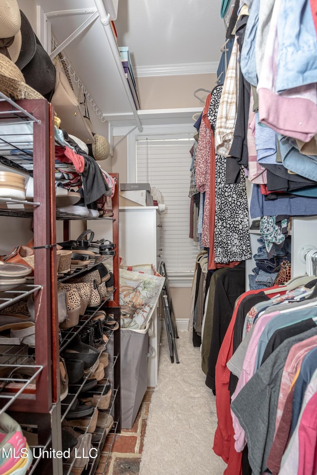 spacious closet featuring light colored carpet