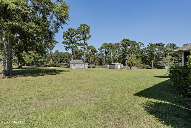 view of yard with a storage unit