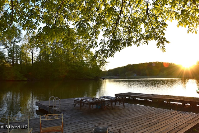 dock area featuring a water view