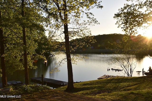 view of water feature with a dock