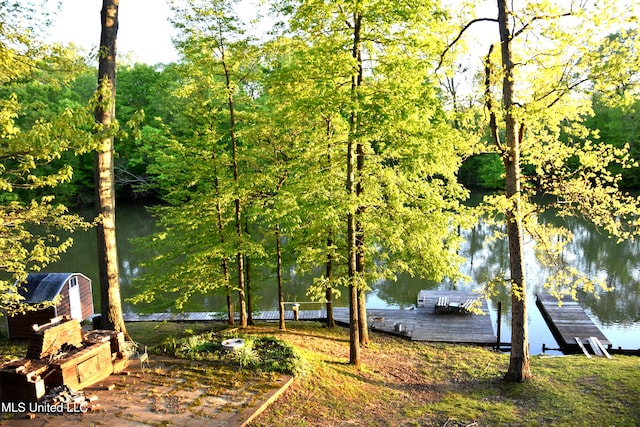 view of community featuring a boat dock and a water view