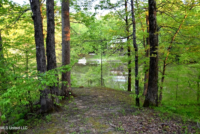 view of nature with a wooded view