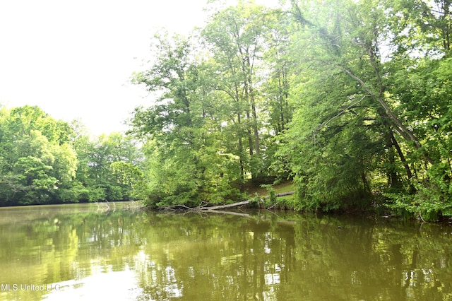 water view with a view of trees