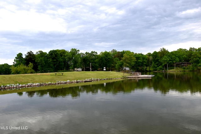 water view featuring a view of trees