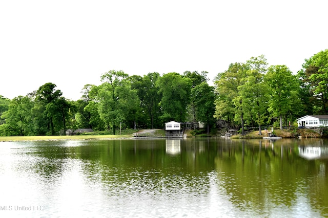 property view of water