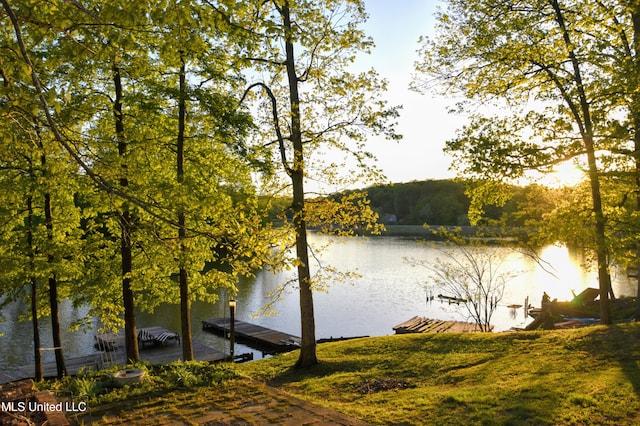 dock area with a water view