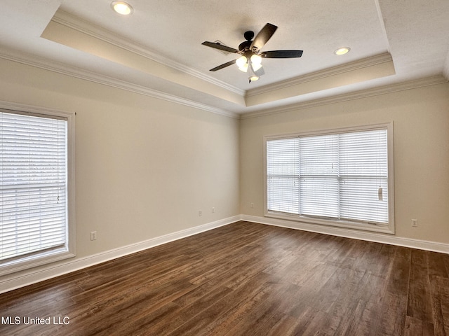 spare room featuring a tray ceiling, plenty of natural light, and dark wood finished floors