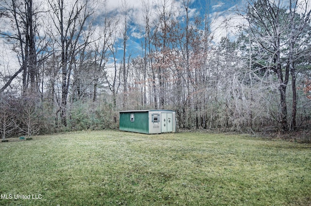 view of yard featuring a shed