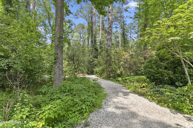 1 Cypress Ln, Jackson, MS 39211 - view of street