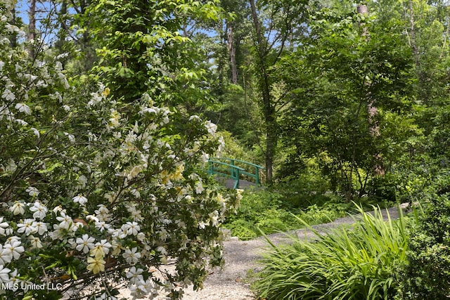 1 Cypress Ln, Jackson, MS 39211 - view of yard