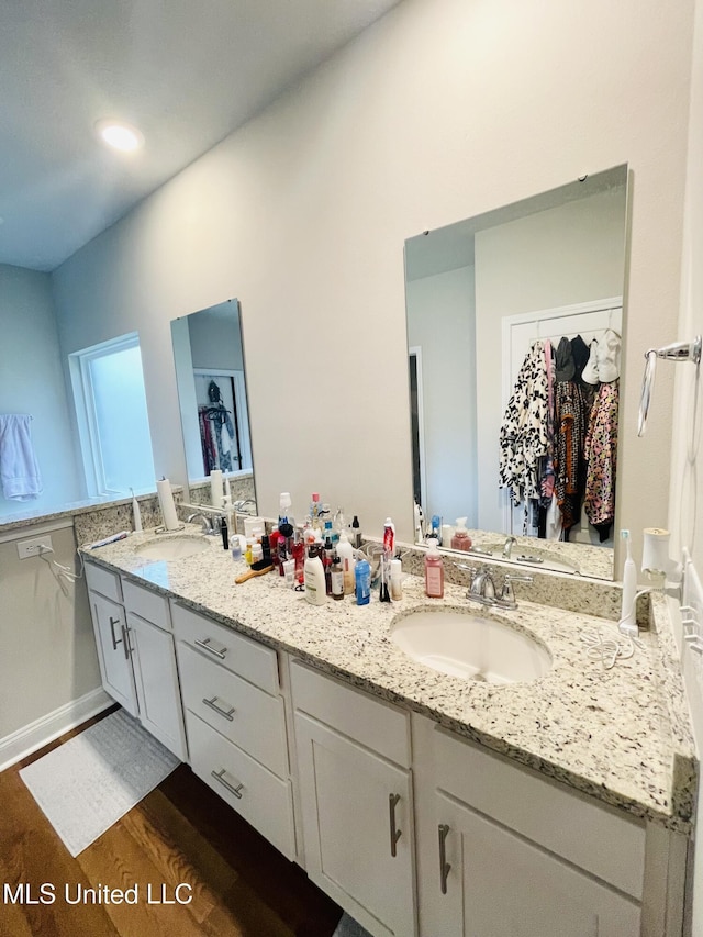 full bathroom featuring double vanity, wood finished floors, a spacious closet, and a sink