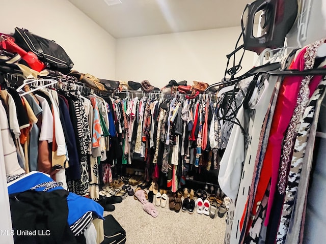 view of spacious closet