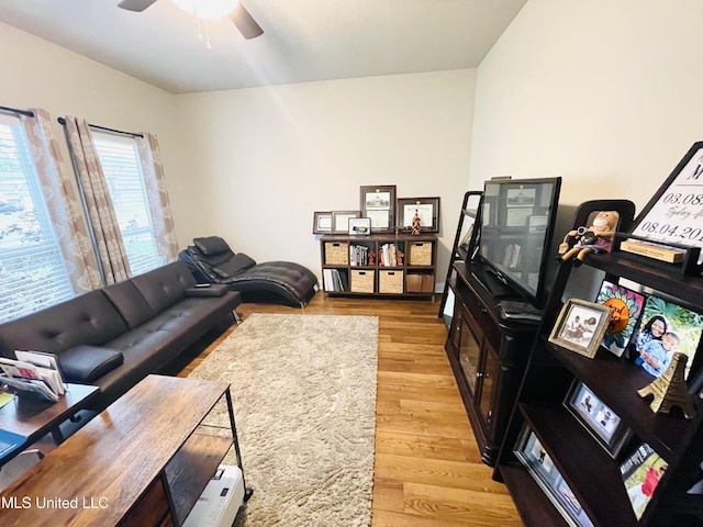 living area featuring ceiling fan and light wood finished floors