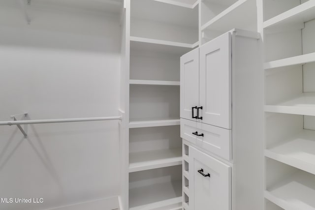view of walk in closet