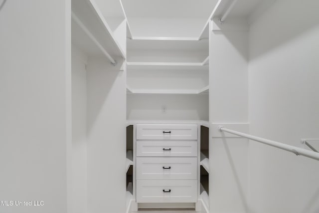 view of walk in closet
