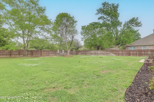 view of yard with a fenced backyard
