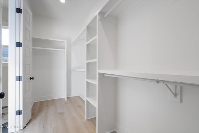 spacious closet featuring light hardwood / wood-style flooring