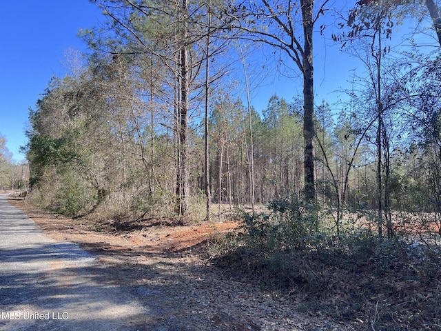 Listing photo 2 for 65 Nelson Rd, Poplarville MS 39470