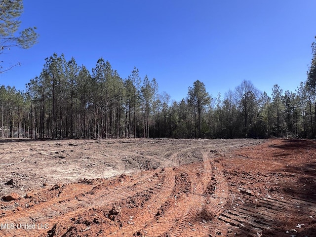 Listing photo 3 for 65 Nelson Rd, Poplarville MS 39470