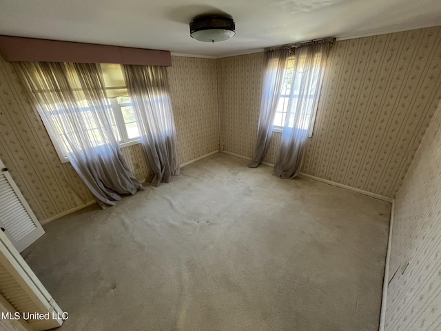 unfurnished room with light carpet