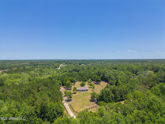 14667 Cable Bridge Rd, Gulfport, MS 39503 - bird's eye view of a forest
