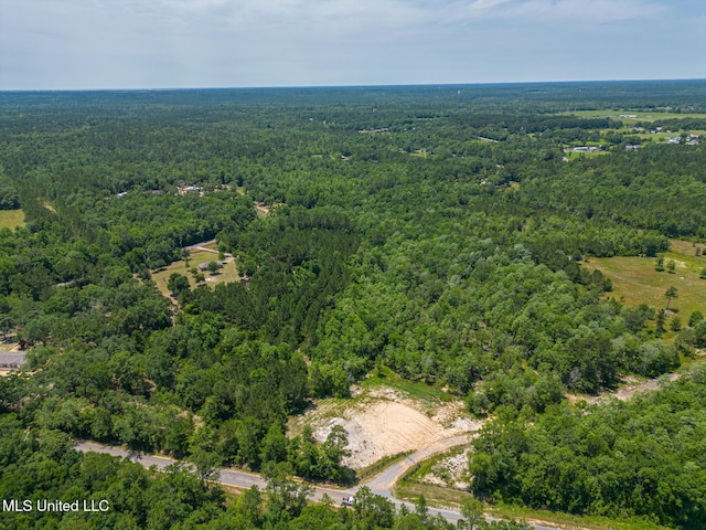 14667 Cable Bridge Rd, Gulfport, MS 39503 - bird's eye view of a forest