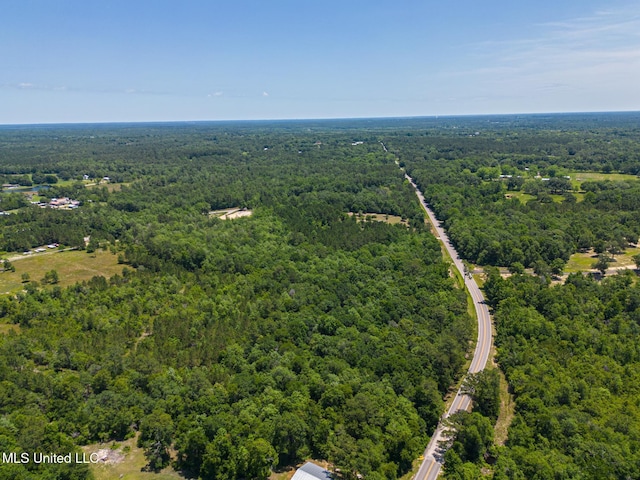 14667 Cable Bridge Rd, Gulfport, MS 39503 - aerial view of a forest