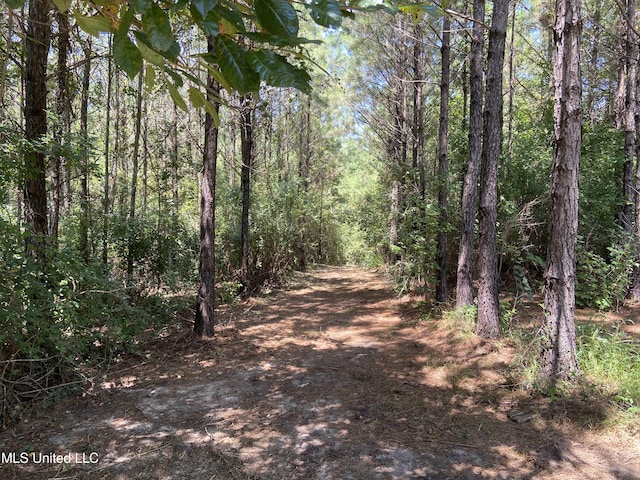 14667 Cable Bridge Rd, Gulfport, MS 39503 - view of street with a view of trees