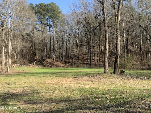 view of yard featuring a view of trees