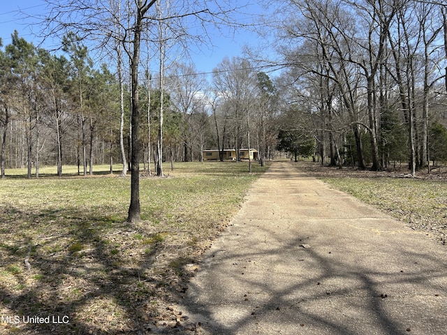 view of road with driveway and a forest view