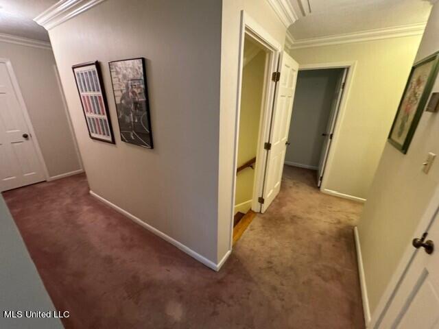 hallway with crown molding, carpet flooring, and baseboards