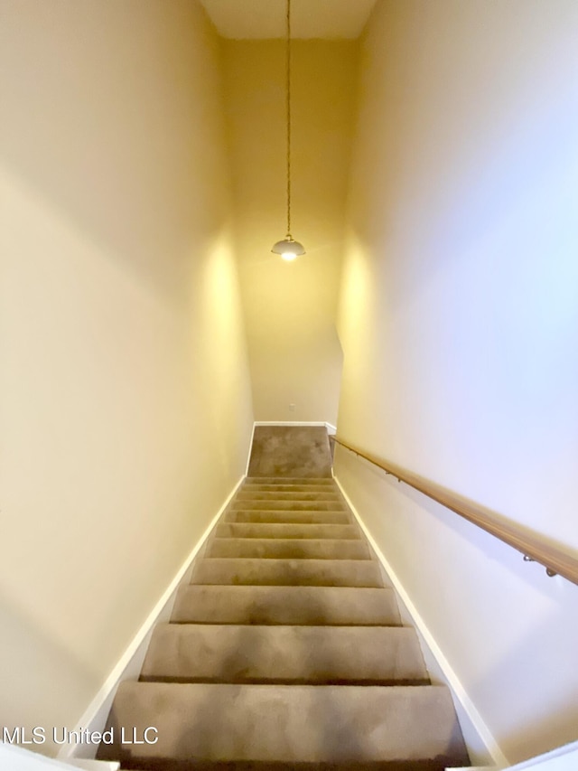 stairway featuring carpet