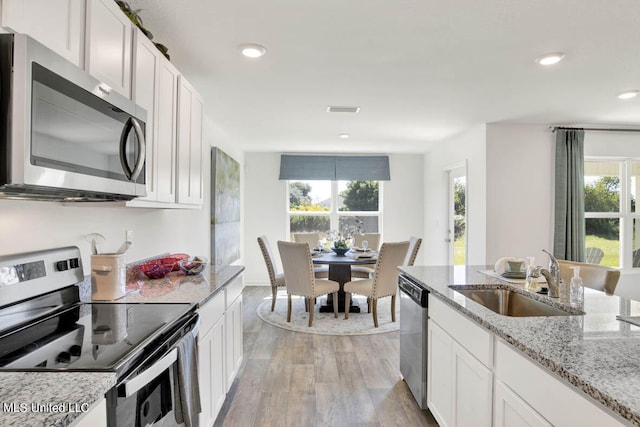 kitchen with light hardwood / wood-style flooring, appliances with stainless steel finishes, sink, and a wealth of natural light