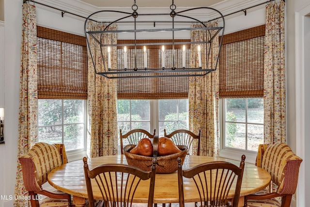 dining room with crown molding and plenty of natural light