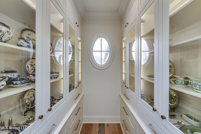 walk in closet featuring wood-type flooring