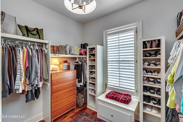 walk in closet with wood-type flooring and a chandelier