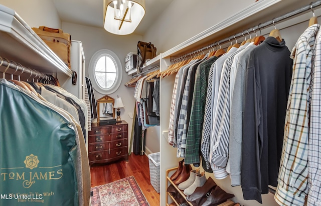 spacious closet with dark hardwood / wood-style flooring