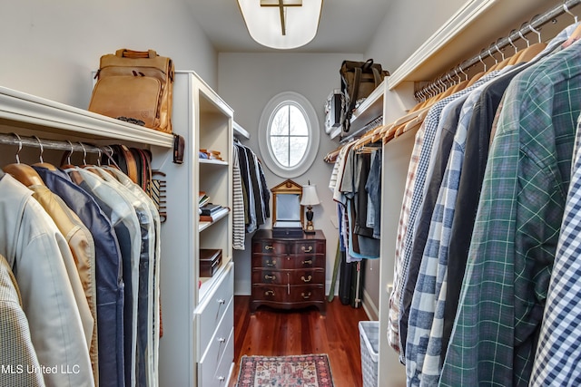 spacious closet featuring dark hardwood / wood-style floors