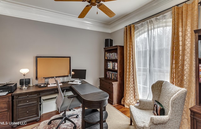 home office featuring ceiling fan, ornamental molding, and hardwood / wood-style floors