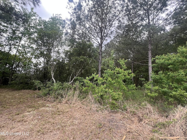 view of nature with a forest view