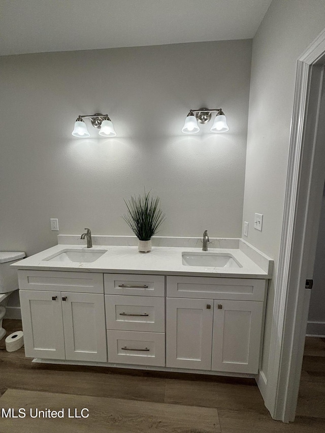 bathroom with vanity, hardwood / wood-style flooring, and toilet