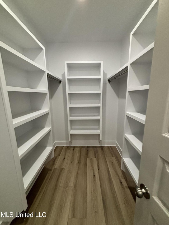 spacious closet with hardwood / wood-style floors