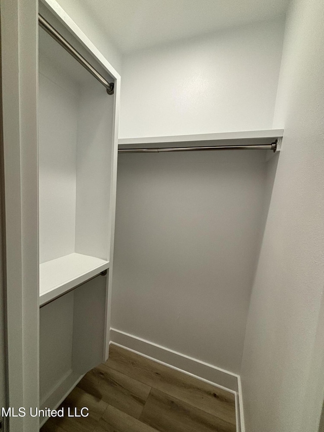 spacious closet with dark hardwood / wood-style floors