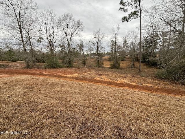 view of local wilderness