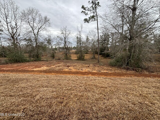 view of local wilderness