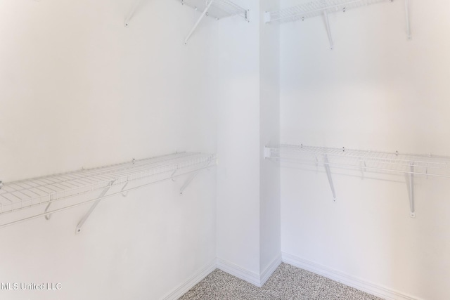 view of walk in closet