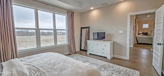 13453 Birch Bnd, Olive Branch, MS 38654 - bedroom with baseboards, wood finished floors, and recessed lighting