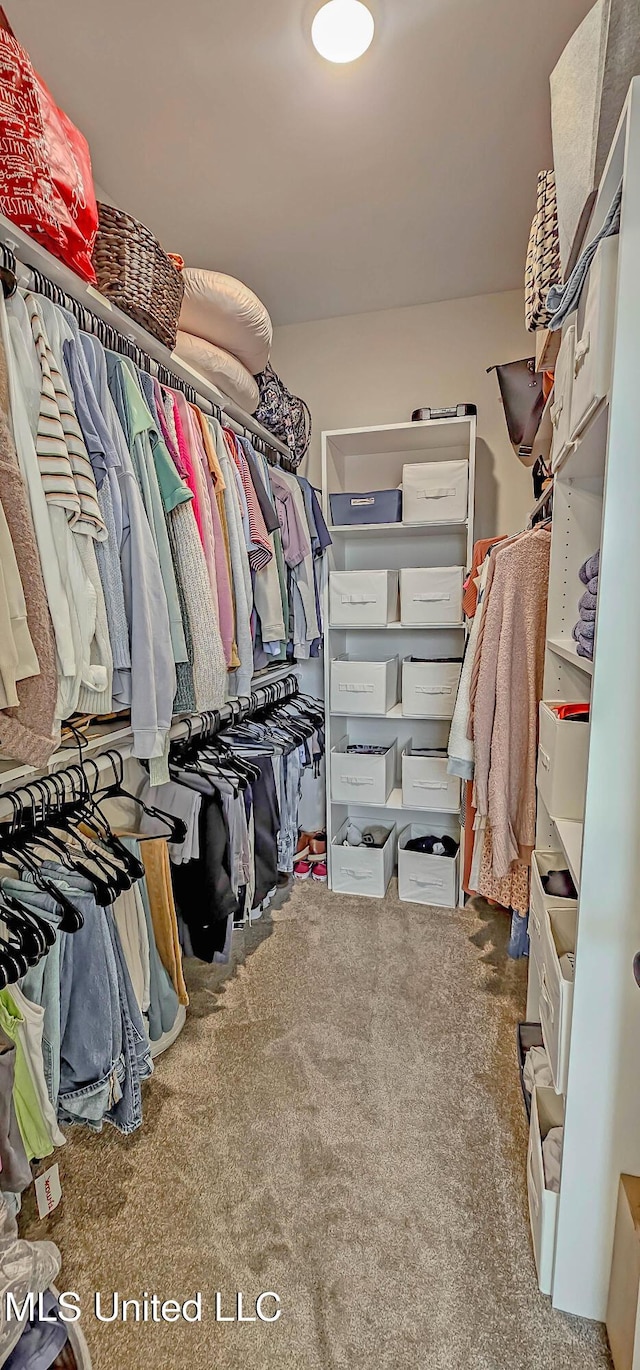 13453 Birch Bnd, Olive Branch, MS 38654 - spacious closet featuring carpet