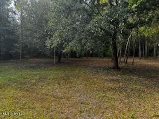 214 S Central Ave, Waveland, MS 39576