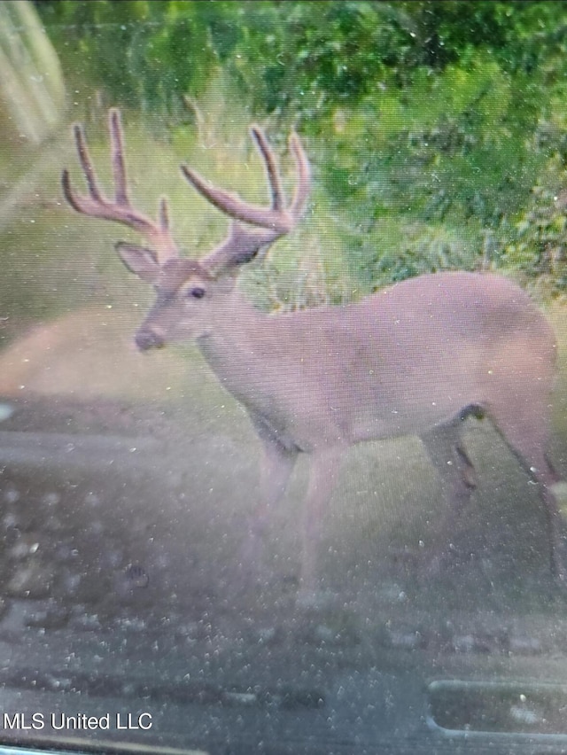 Franklin Rd, Goodman, MS 39079